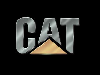 cat cat