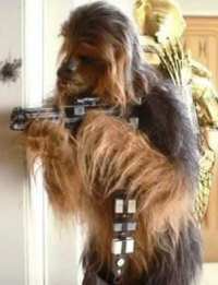 chewie