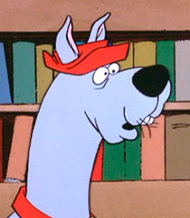 scoobydum scoobydum