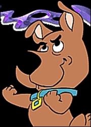 scrappy scrappy