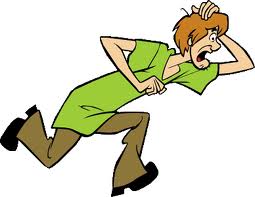 shaggy shaggy