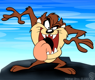 taz taz