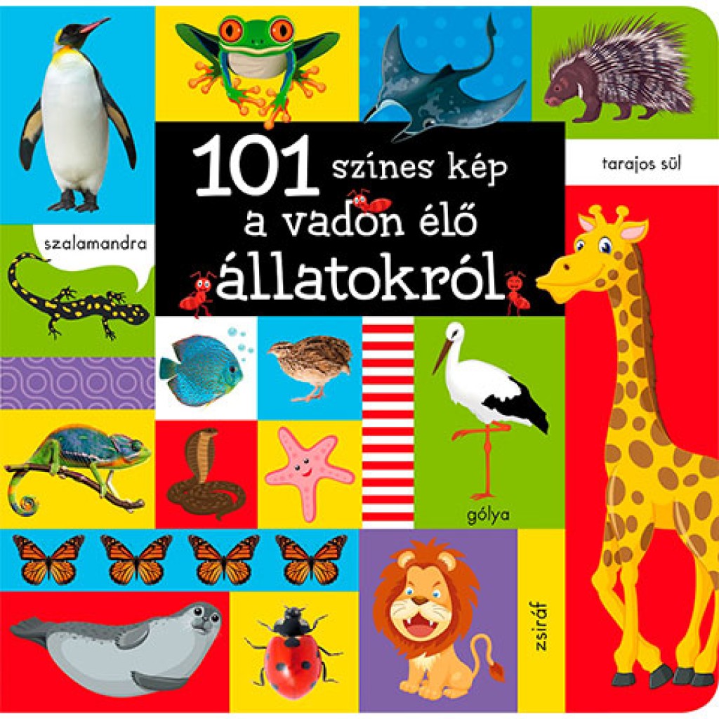 101 színes kép a vadon élő állatokról babakönyv kép 1