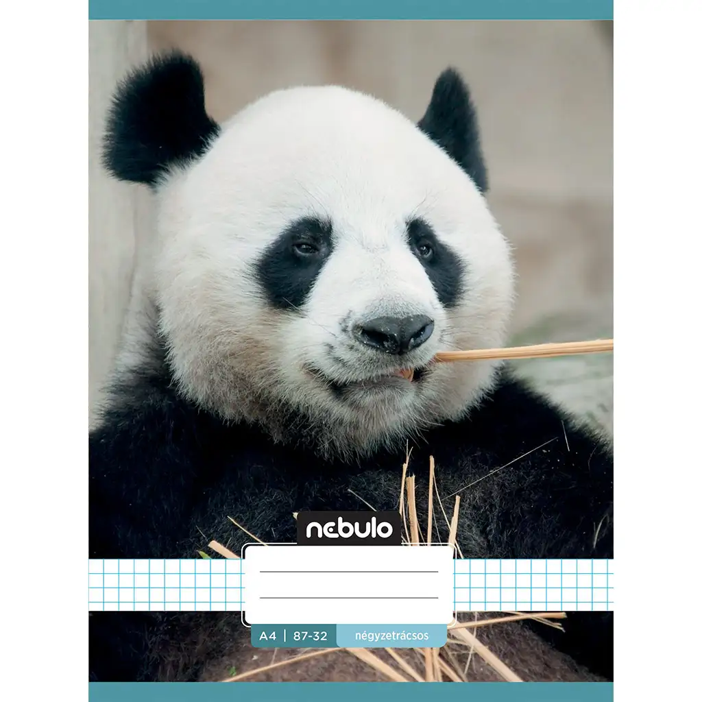 Nebulo: Tűzött kockás panda mintás füzet 87-32 A/4 kép 1