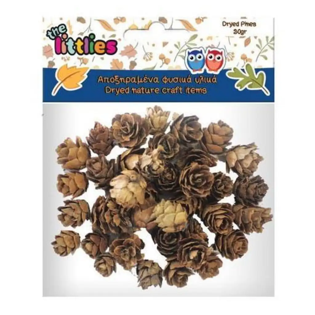 Szárított fenyő toboz 20gr kép 1