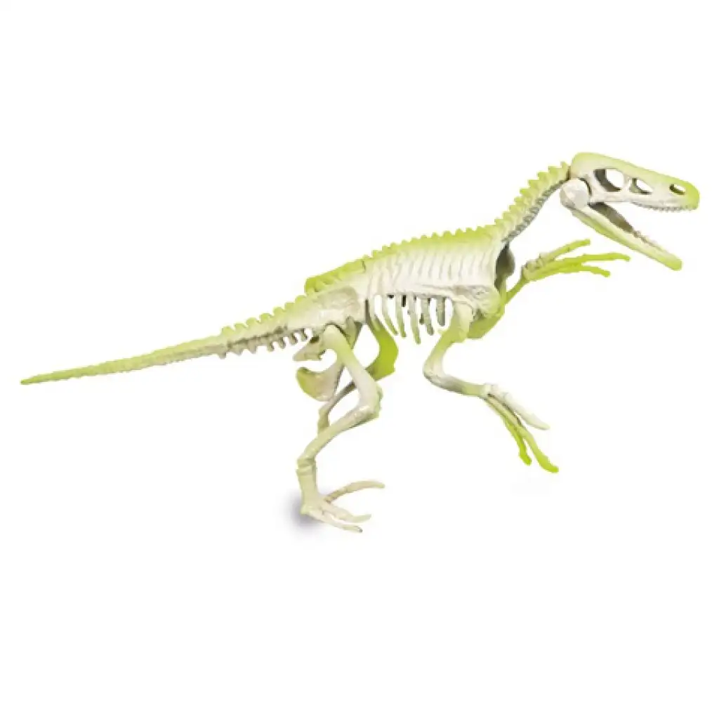Science&Play: Archeofun Világító Velociraptor régész szett - Clementoni kép 4