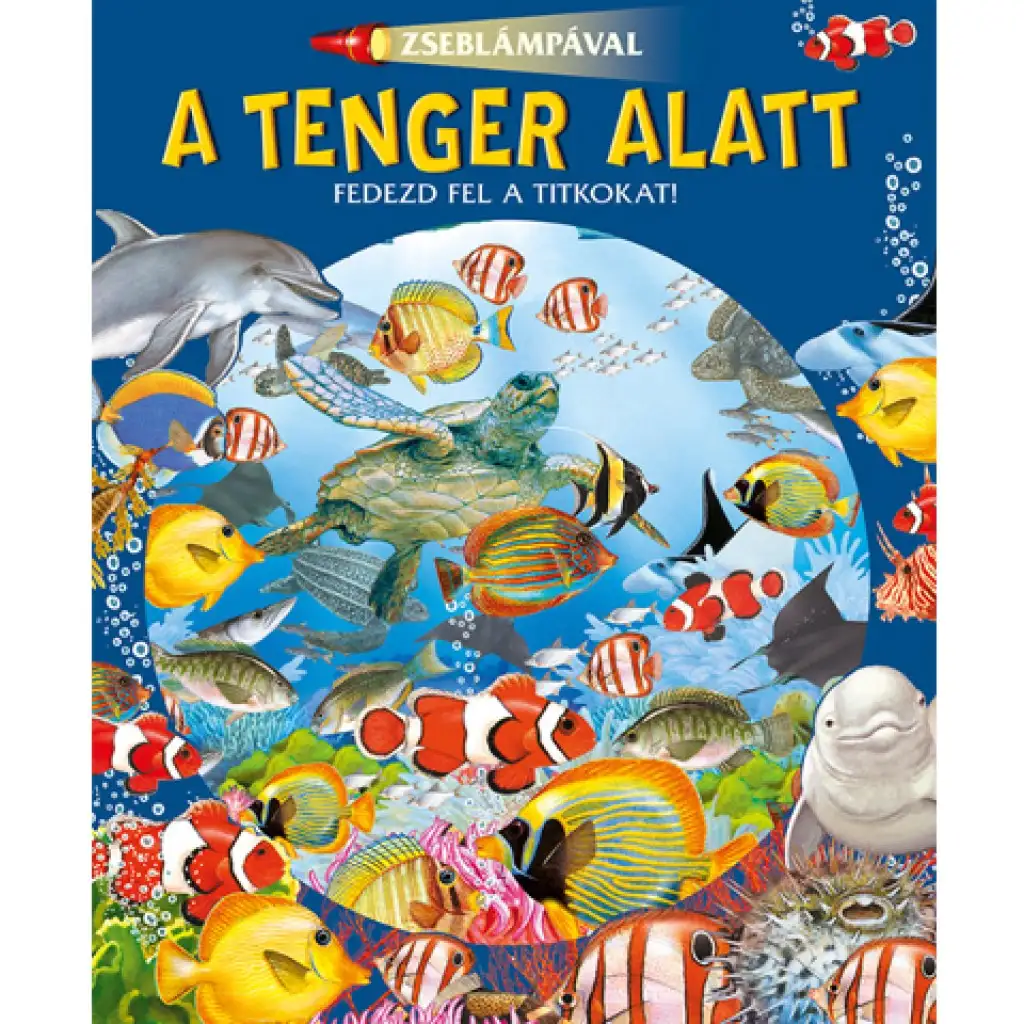 Zseblámpával - A tenger alatt ismeretterjesztő könyv kép 1