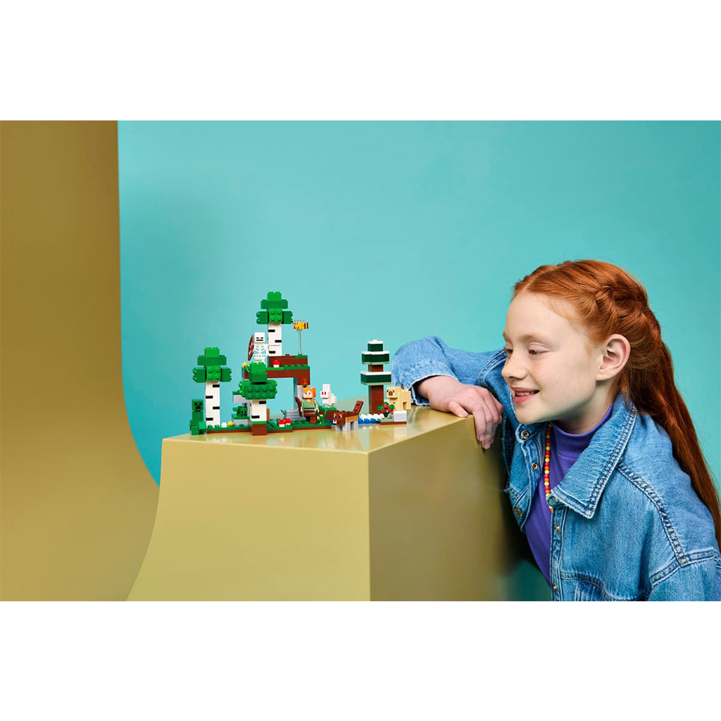 LEGO® Minecraft: Az első éjszaka kalandjai (21593) kép 14