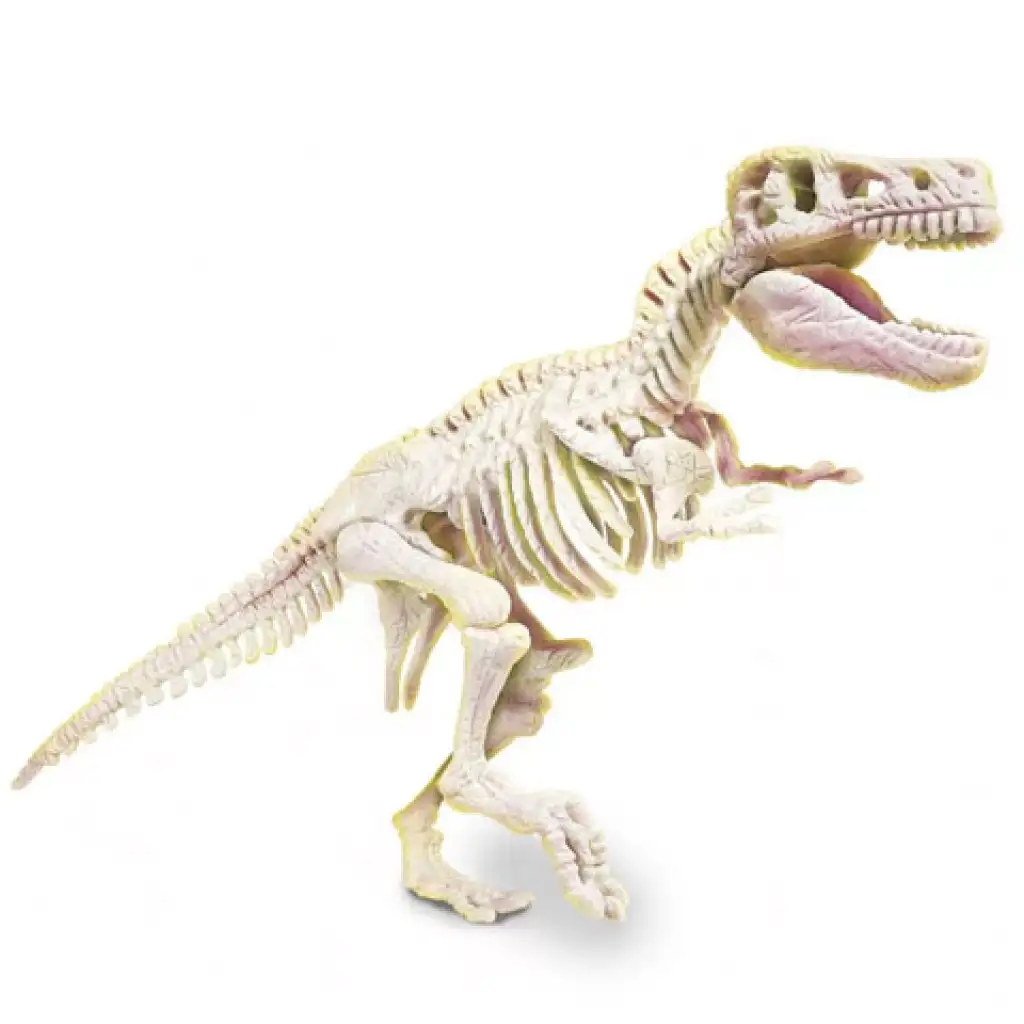 Science & Play: T-Rex fluoreszkáló régészeti készlet - Clementoni kép 3