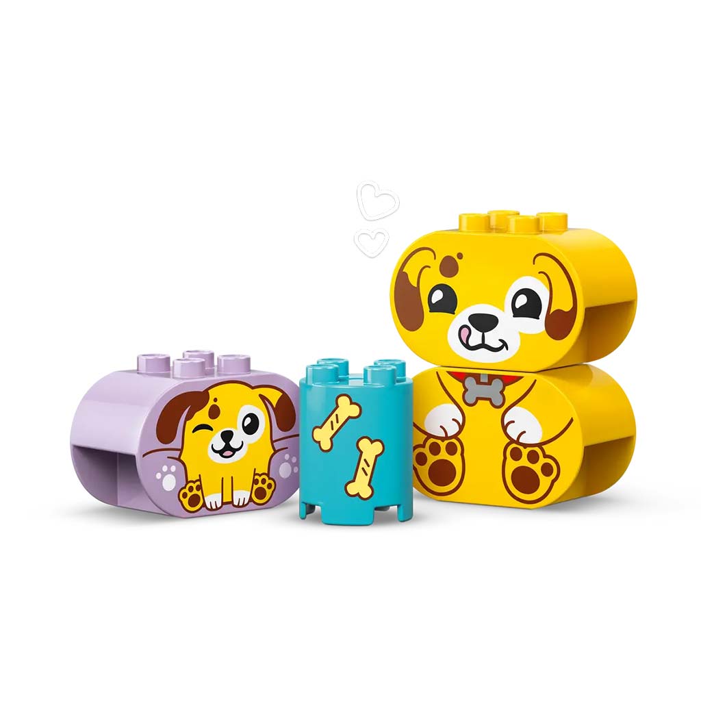 LEGO® DUPLO®: Formaválogató: Kutyusház (10441) kép 5