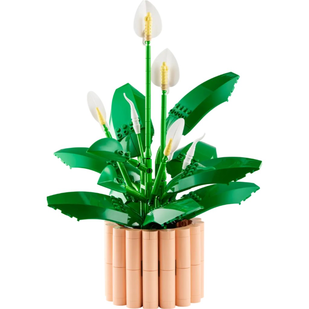 LEGO® Botanicals: Vitorlavirág (11504) kép 2