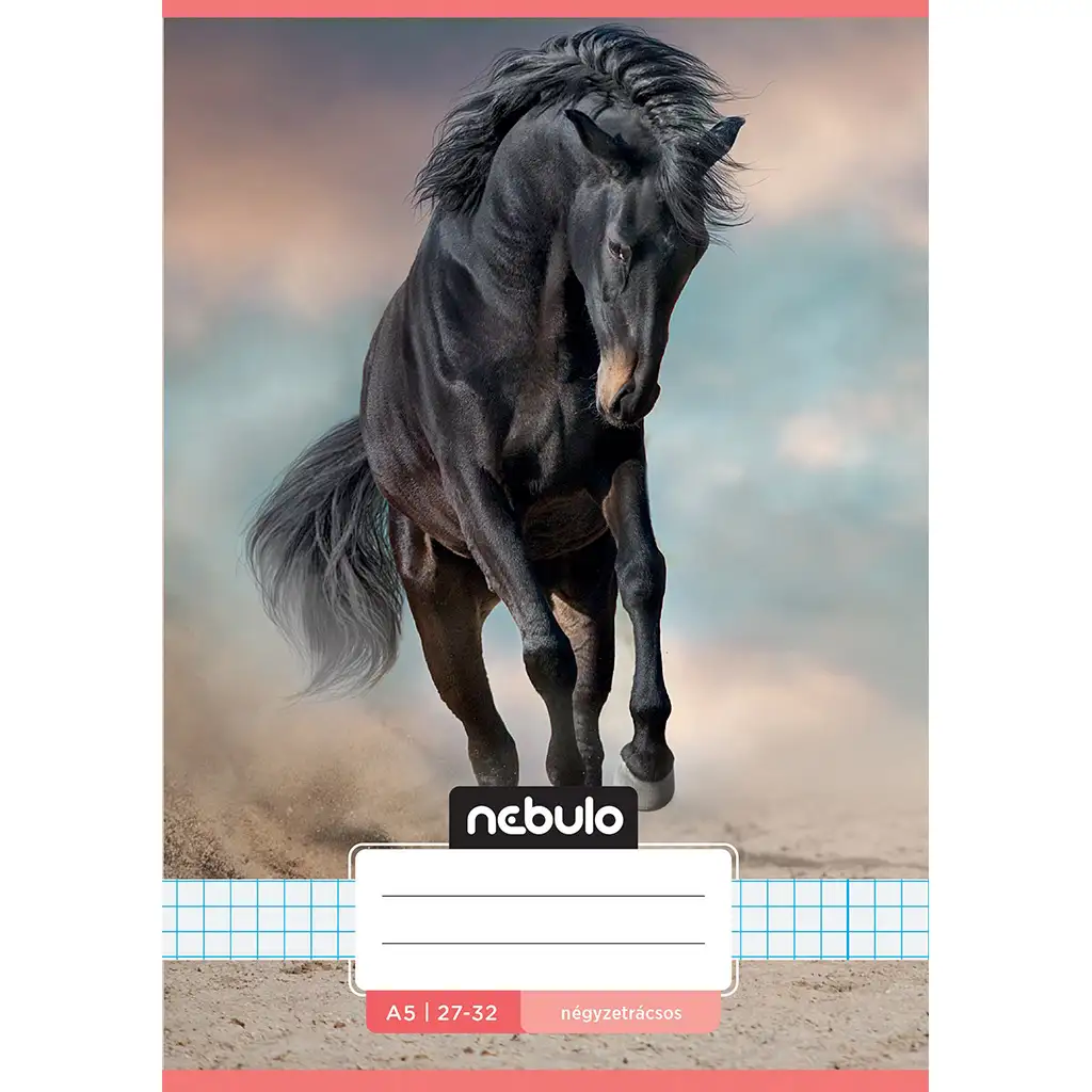 Nebulo: Ló a homokban mintás kockás füzet A/5 27-32 kép 1