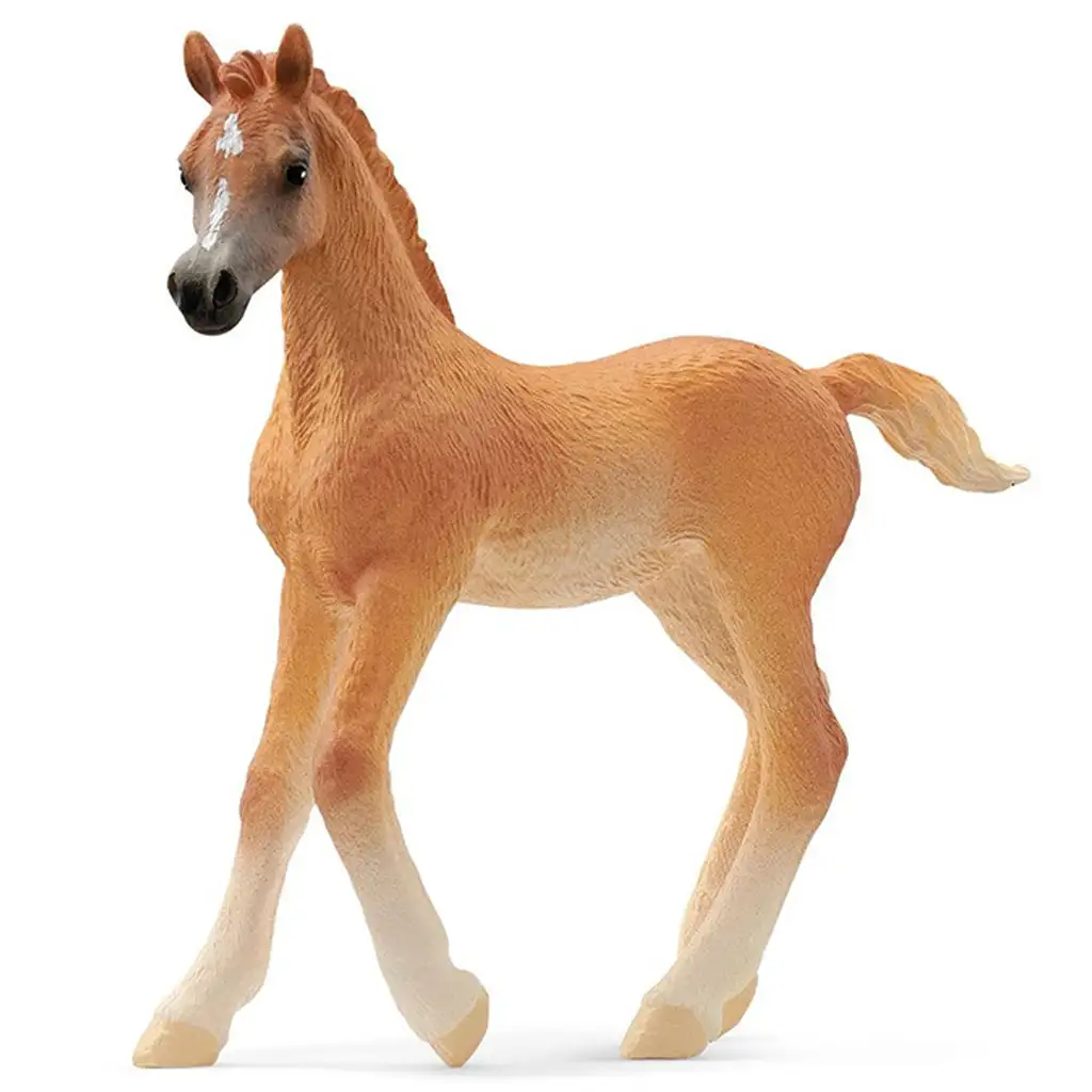 Schleich: Arab csikó figura (13984) kép 1