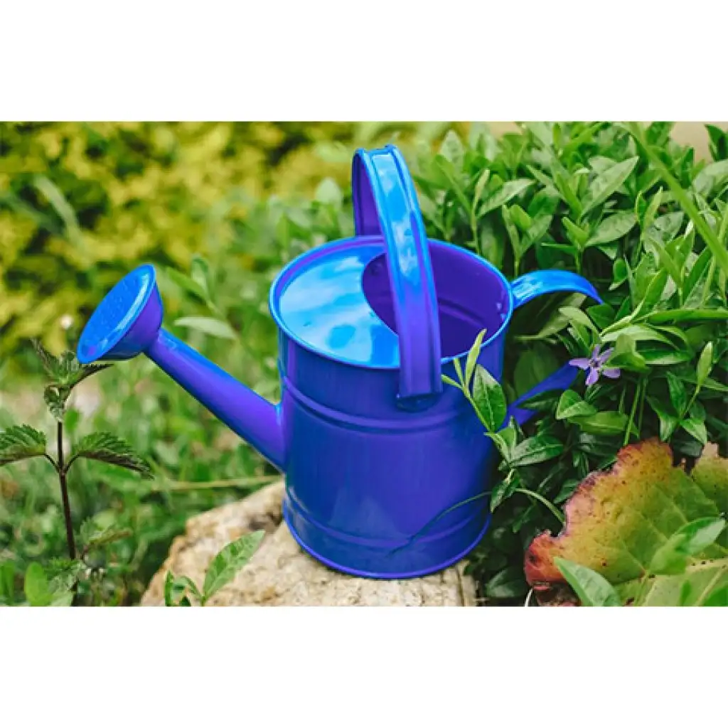 Kék retro fém locsolókanna - Woodyland kép 2